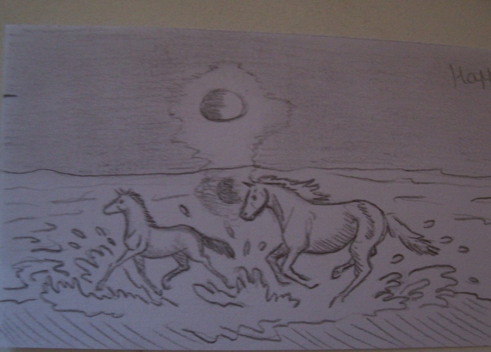 Wild horse