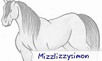 mizzlizzysimon