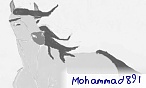 Mohammad891