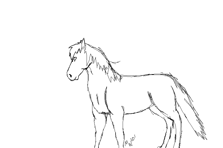 horse doodle
