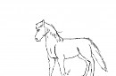 horse doodle