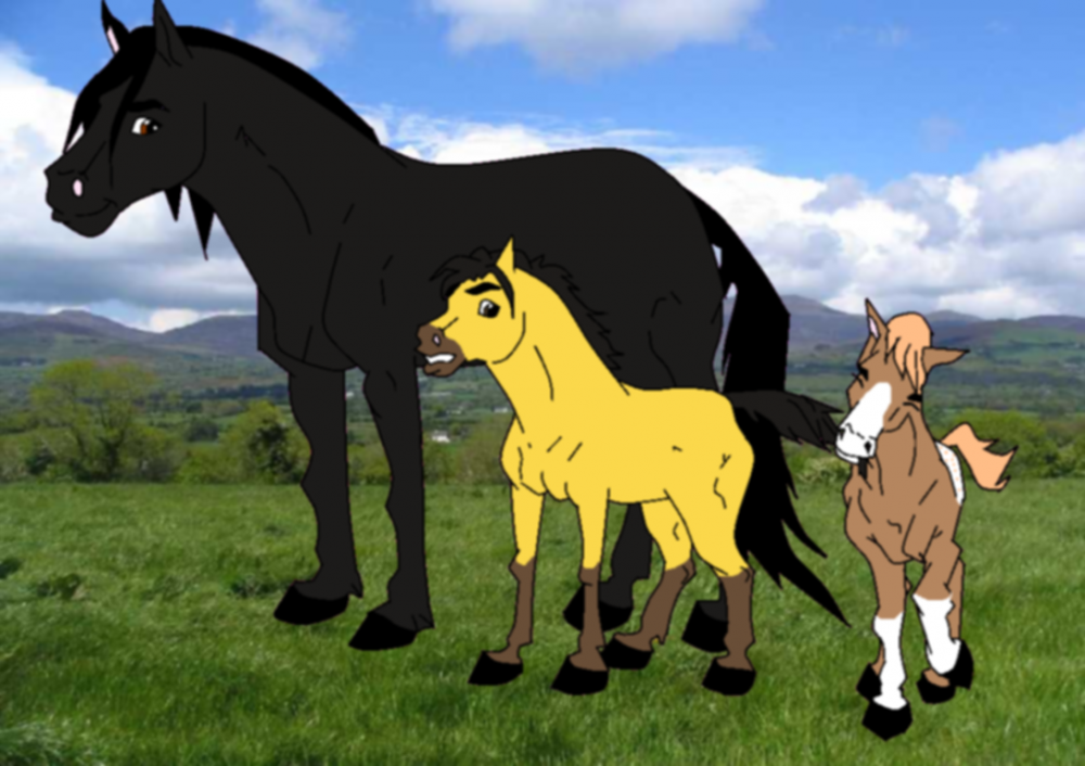 Strider, Spirit and Annaleise (Adoptable)