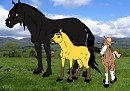 Strider, Spirit and Annaleise (Adoptable)