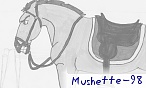 mushette-98