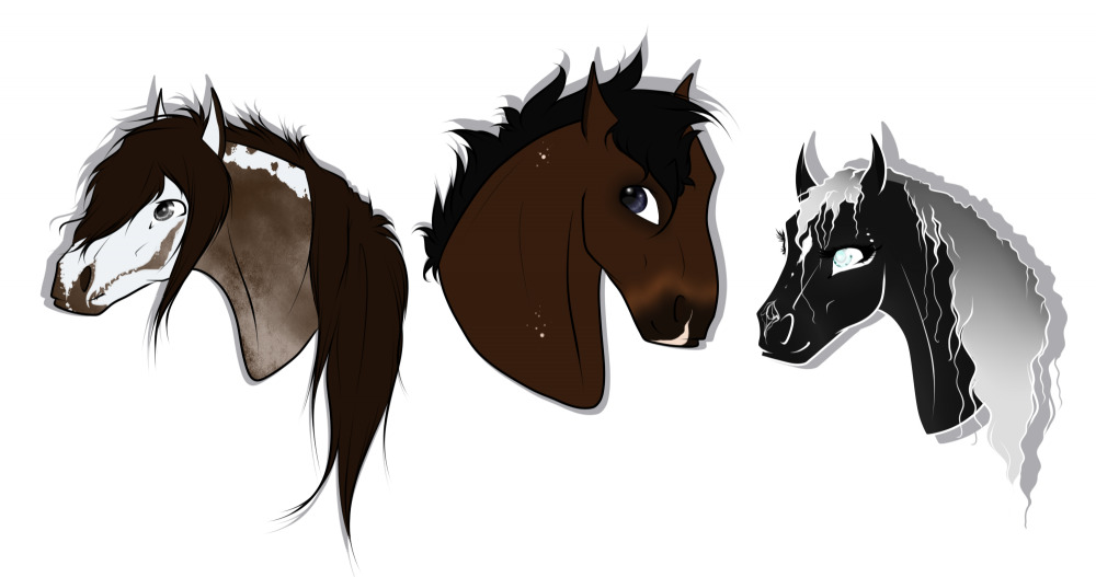 Meet the Gang!