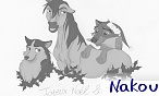 Nakou