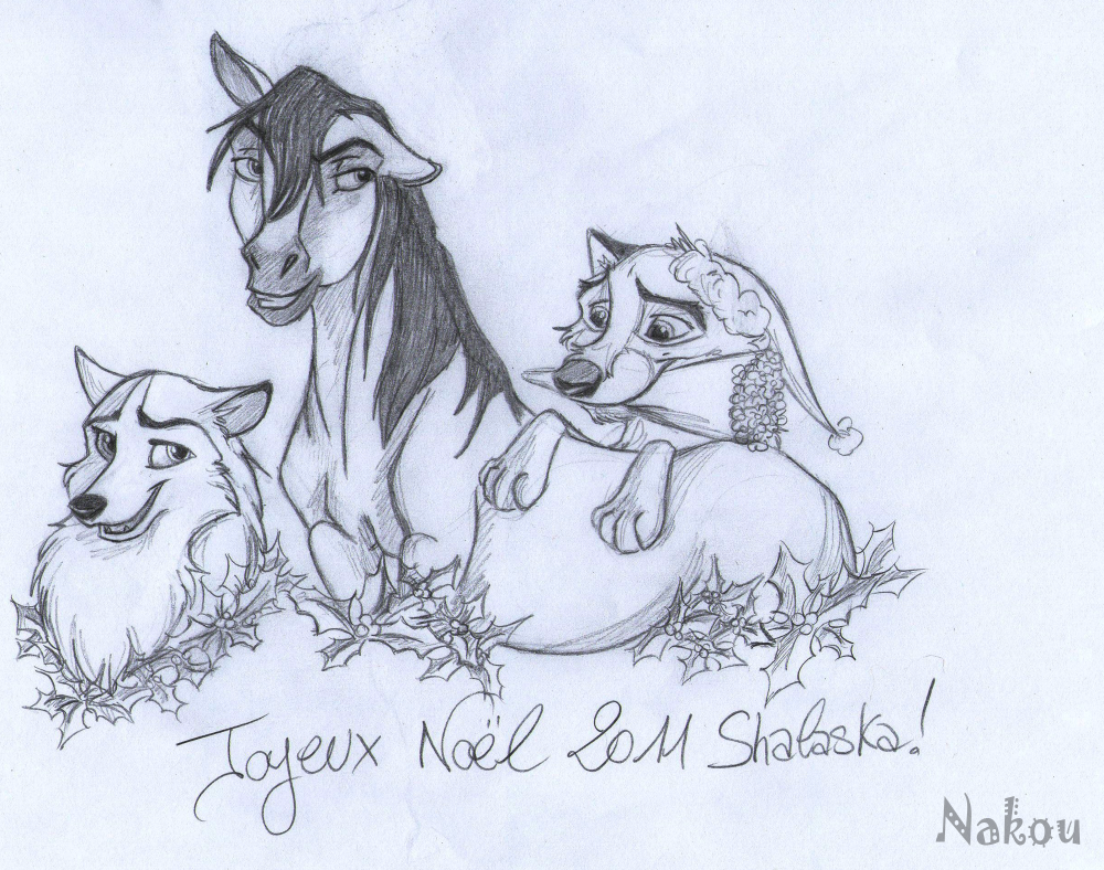 Joyeux Noël 2011 Shal'!