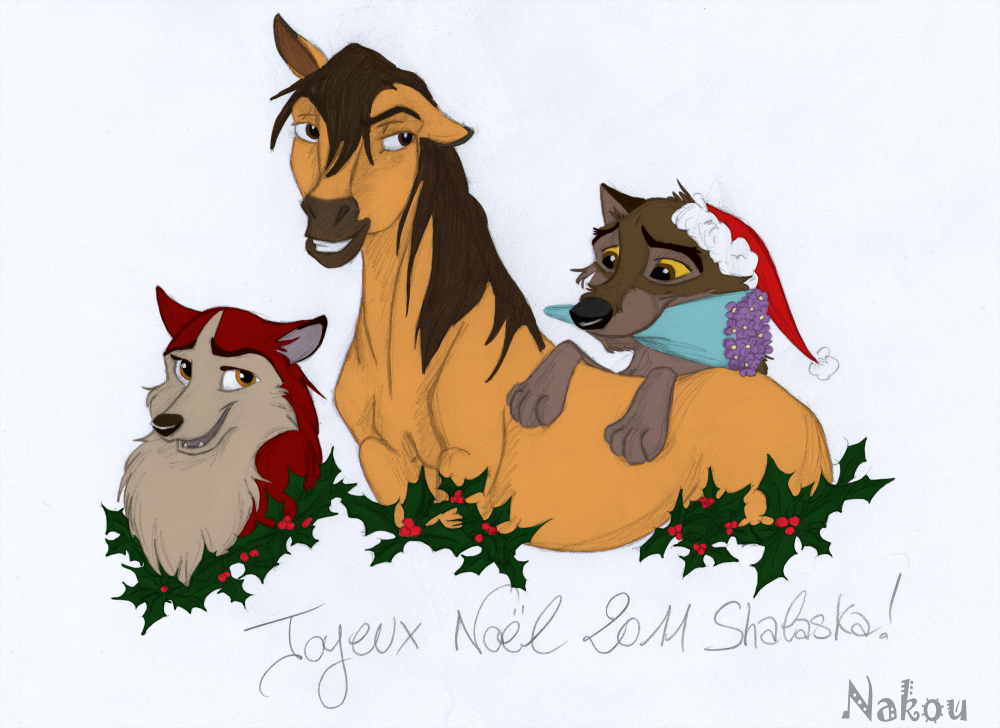 Joyeux Noël 2011 Shal' (colo)!
