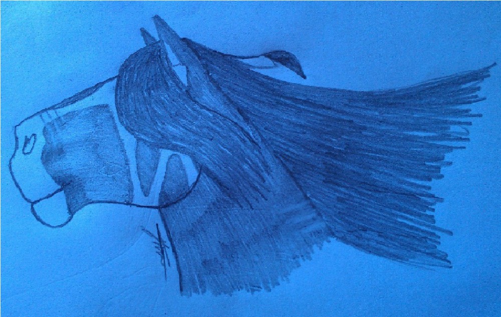 Gift for Dkrvice