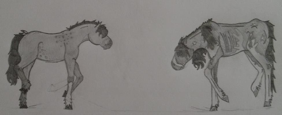 Skin and Bone/ Rp Image