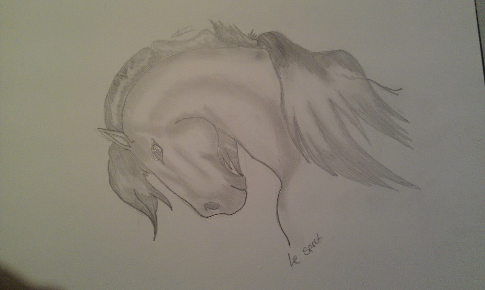 Le Spirit