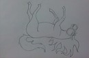Feathered Spirit Rolling
