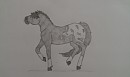 Appaloosa Spirit