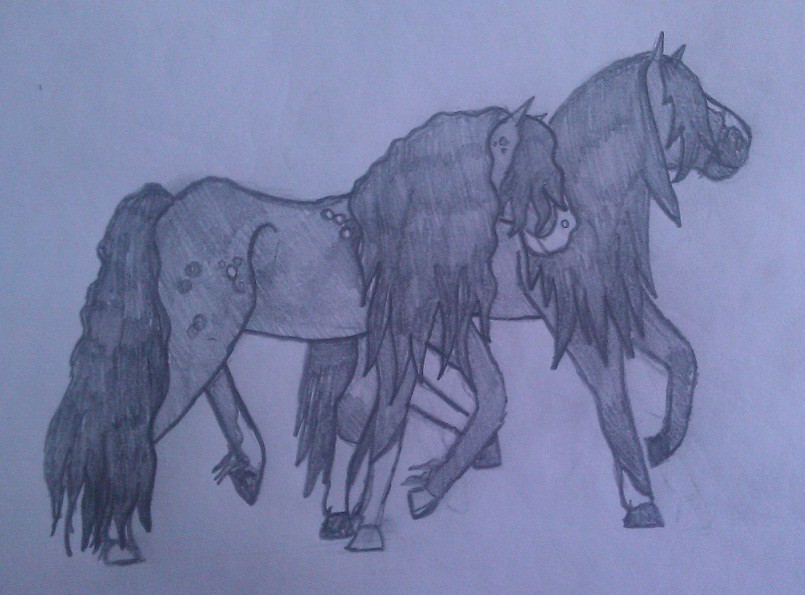 Trade art/ Dkrvice