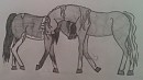 Rp Image /  Your all I have Left 