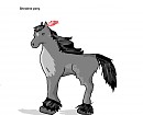 Shetland pony :D