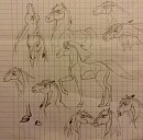 Rivière expressions