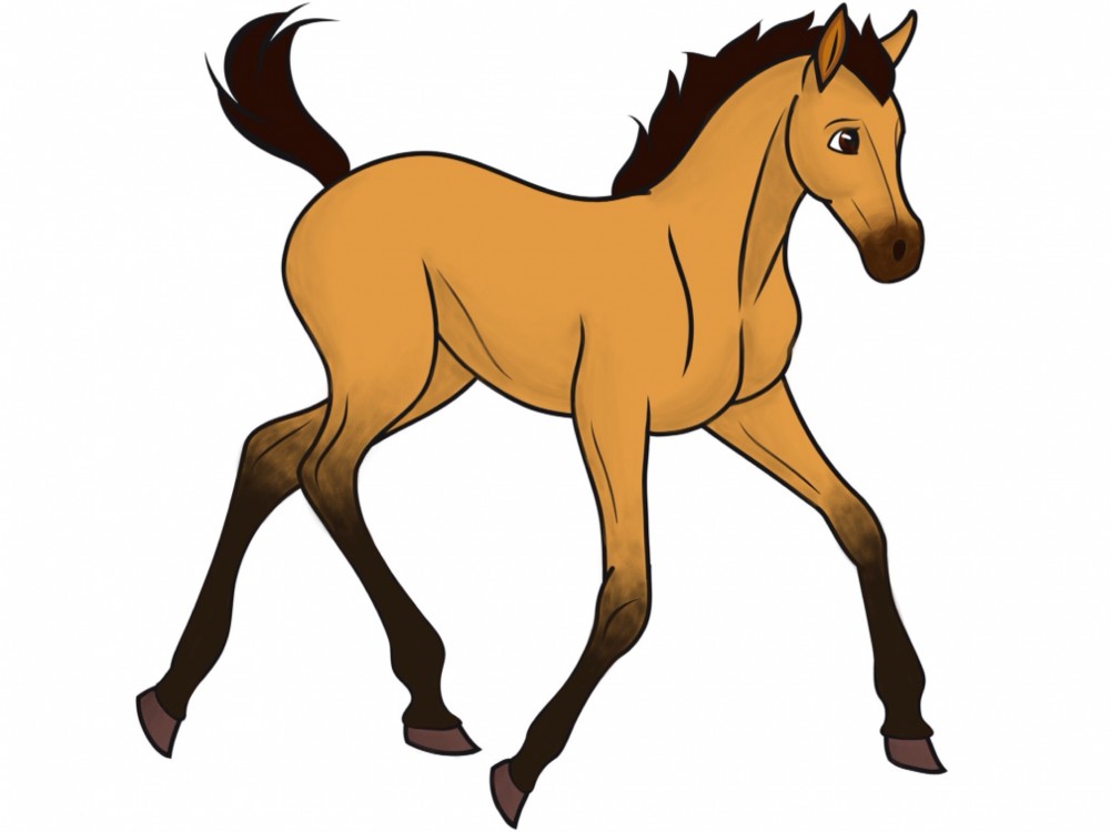 Spirit poulain