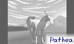 Pathea
