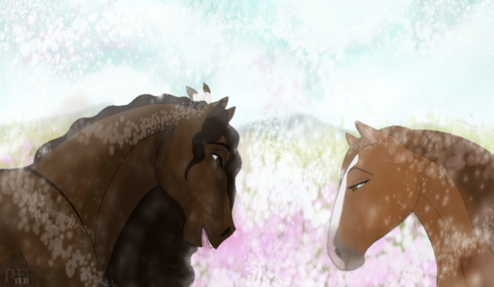 In the Meadow