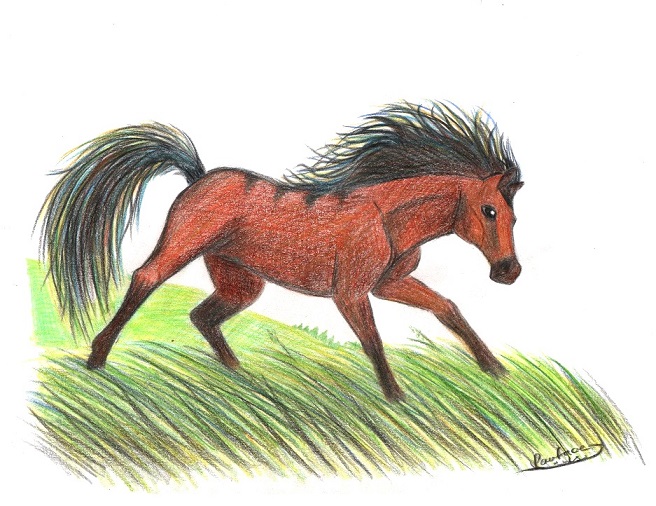 Valiant As The Wind