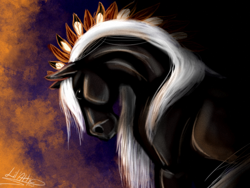 Medallion The Stallion