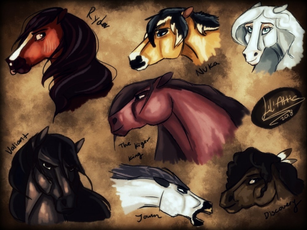 Meet The Family