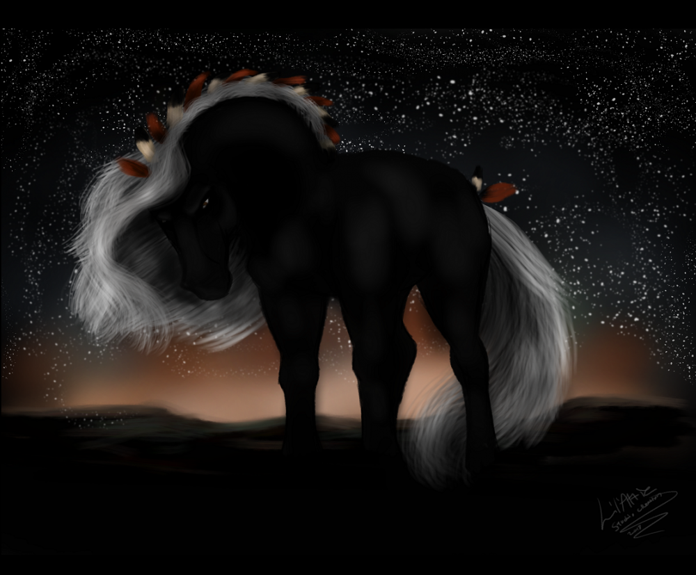 Medallion The Stallion 