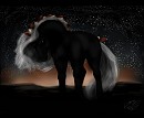 Medallion The Stallion 