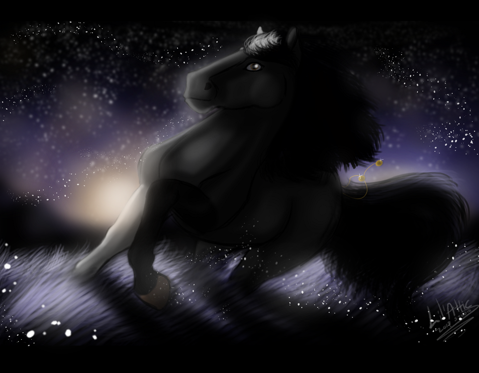A Light In The Night