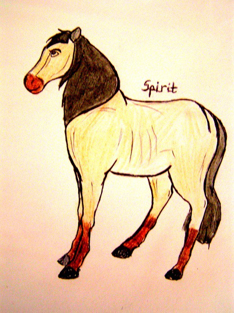 Spirit stallion
