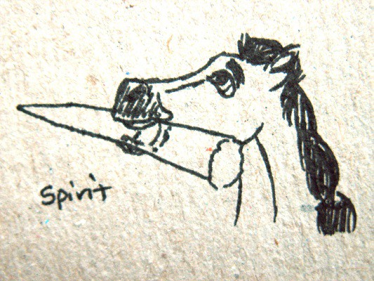 Spirit (young)