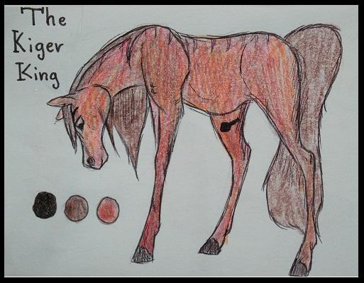 The Kiger King