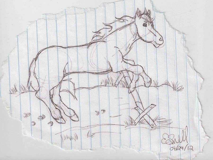 Horse sketch 2 out of 4