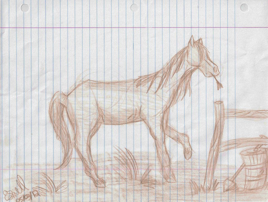 Horse sketch 4 out of 4