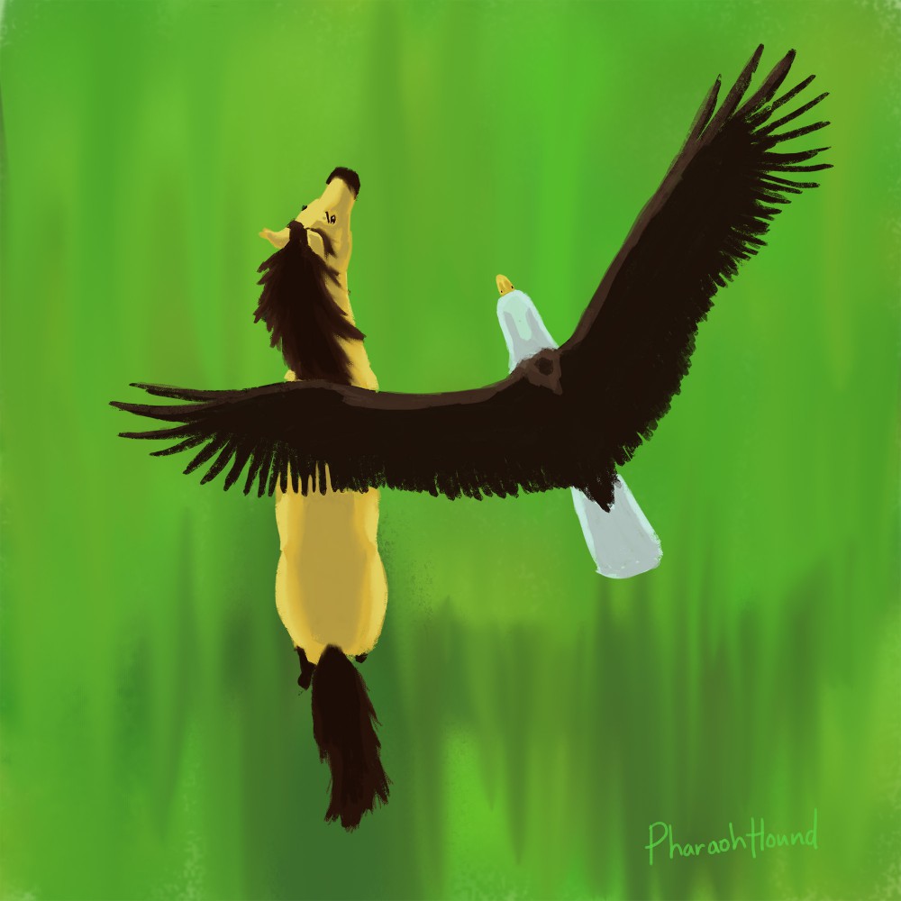 Let's Fly Away