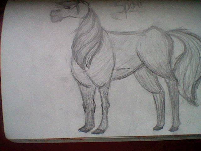 spirit sketch