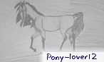 pony-lover12