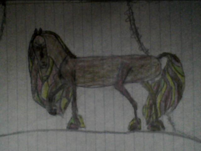 angrey rainbow horse