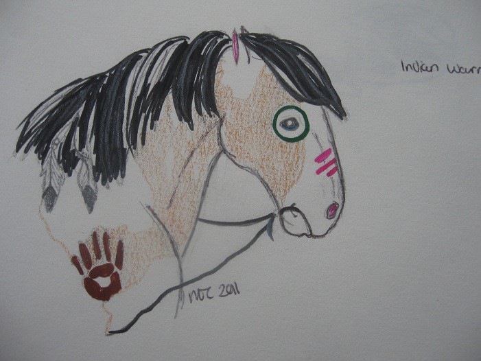 Indian(Native American) War Horse