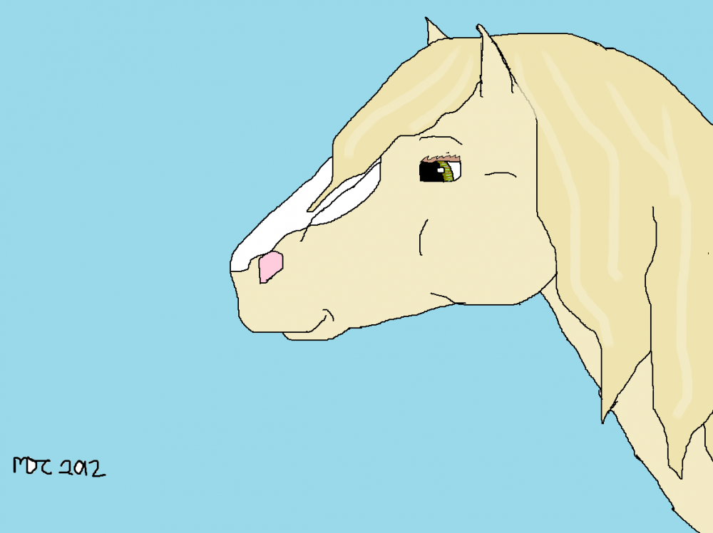 Me as a horse