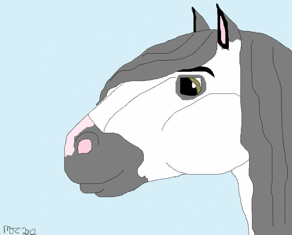 Andalusian Stallion(gray)