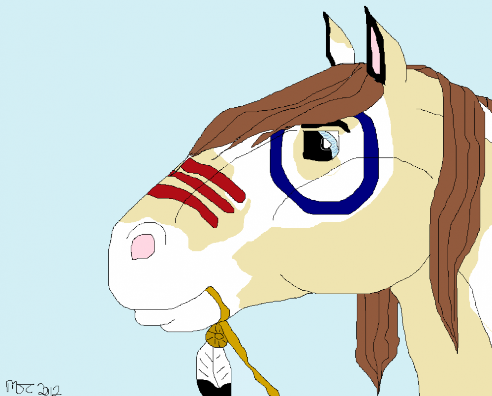 Native American Horse
