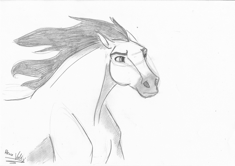 Run, Spirit !