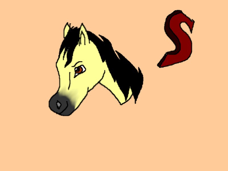 Spirit