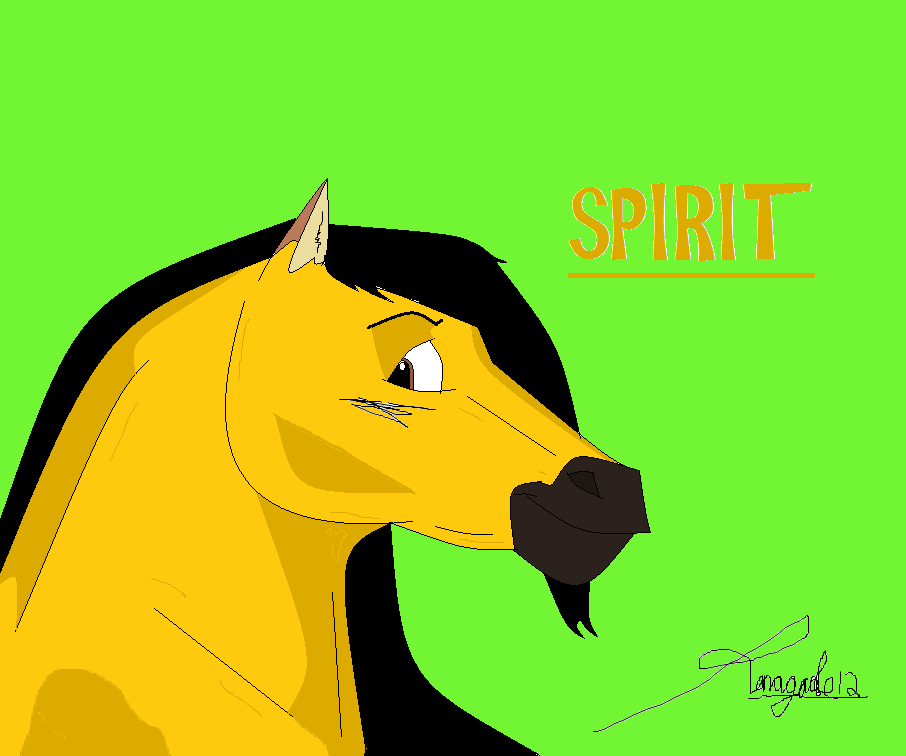 Spirit