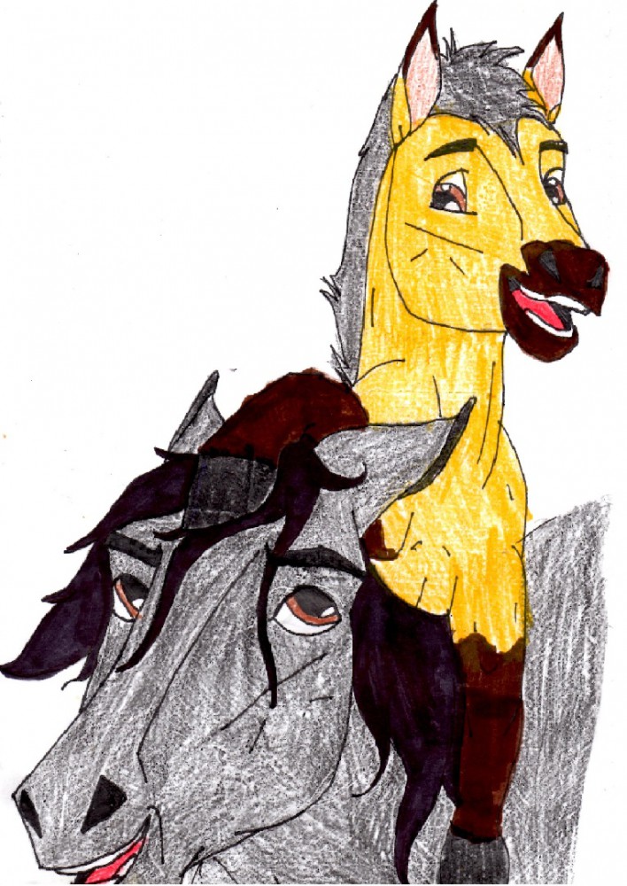 Spirit and Strider