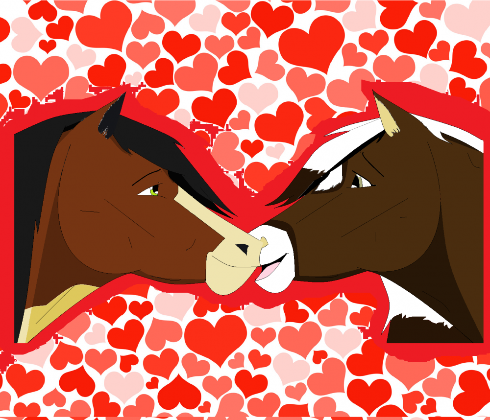 Moracco and Star