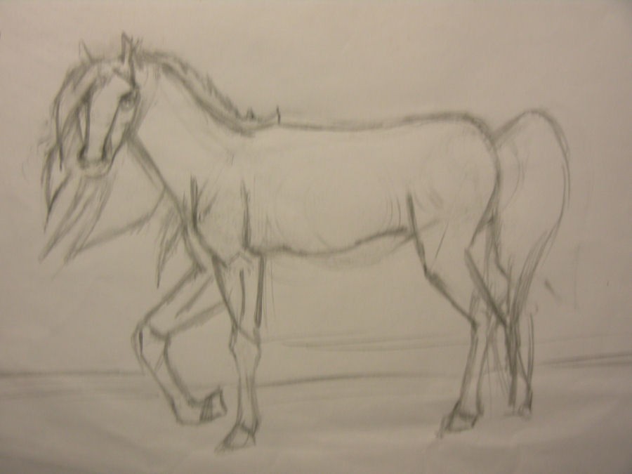 Old Drawing... xD