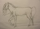 Old Drawing... xD